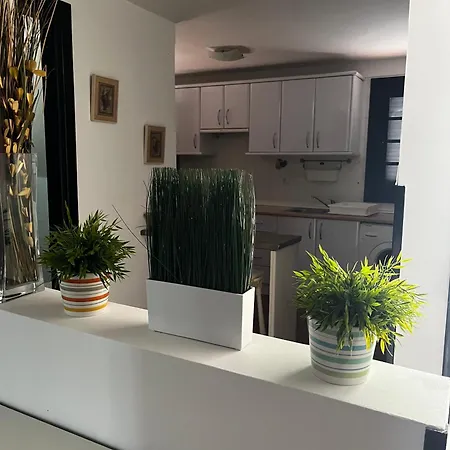 Tamaragua Apartment